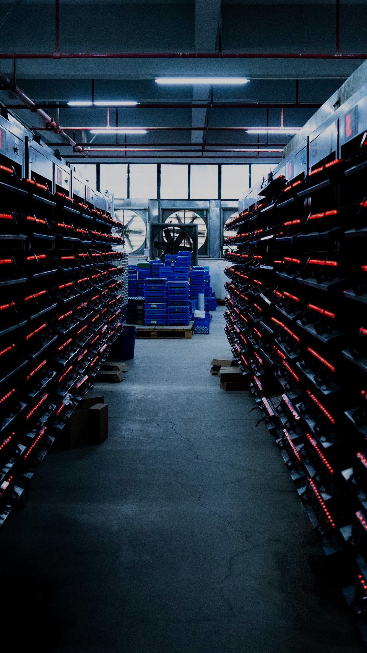 ca88手机客户端(安卓/苹果)CA88会员登录入口